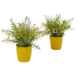 12” Rosemary Artificial Plant in Yellow Planter (Set of 2)