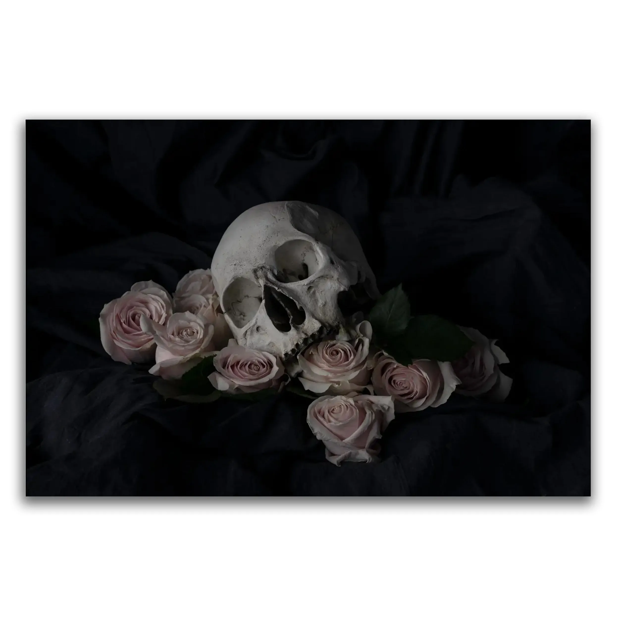 Aceocian - Limited Edition Fine Art Photography Print