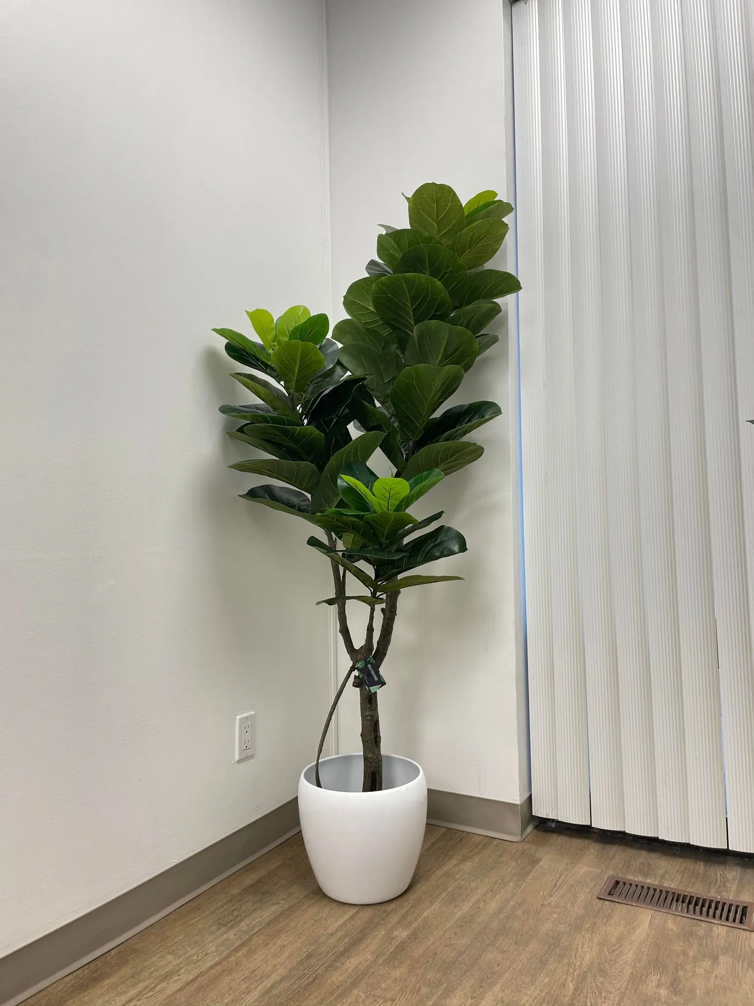 Artificial Fiddle Fig Tree (6')