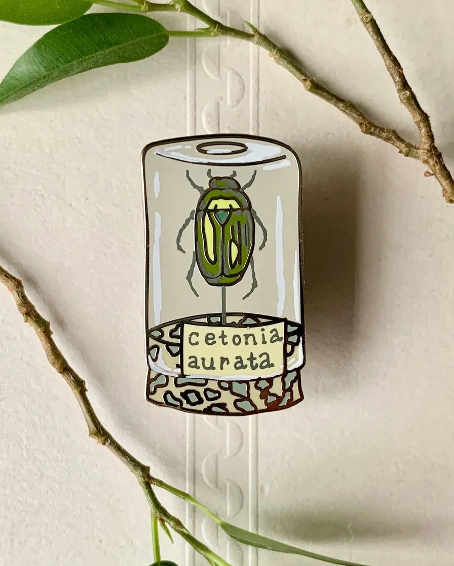 Beetle Specimen Jar Entomology Enamel Pin