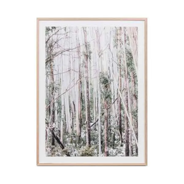 Eucalyptus Forest Framed Print