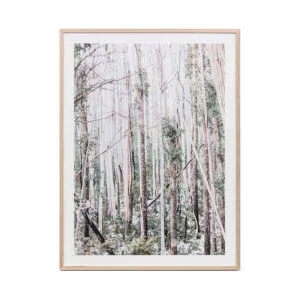 Eucalyptus Forest Framed Print