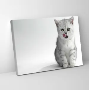 GADGETS WRAP Canvas Gallery Wrap Framed for Home Office Studio Living Room Decoration (11x9inch) - White Cat Tongue