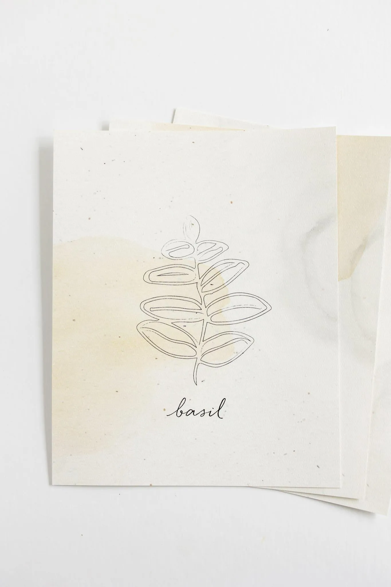 Herb Prints | Set of 3