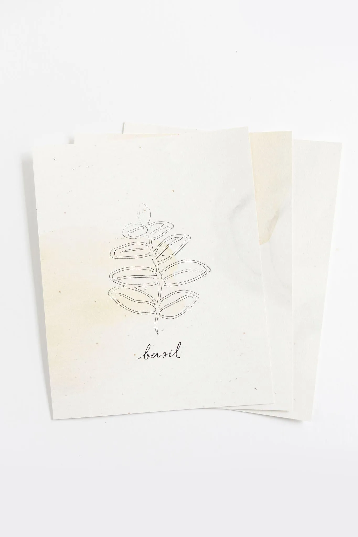 Herb Prints | Set of 3