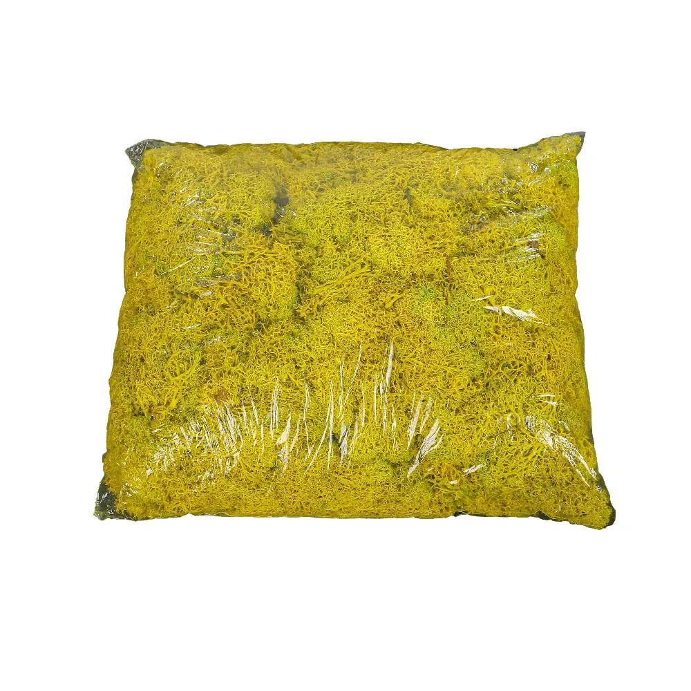 Natural Preserved Fresh Moss