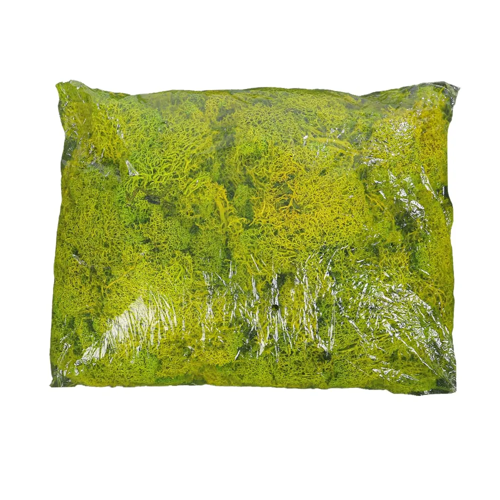 Natural Preserved Fresh Moss