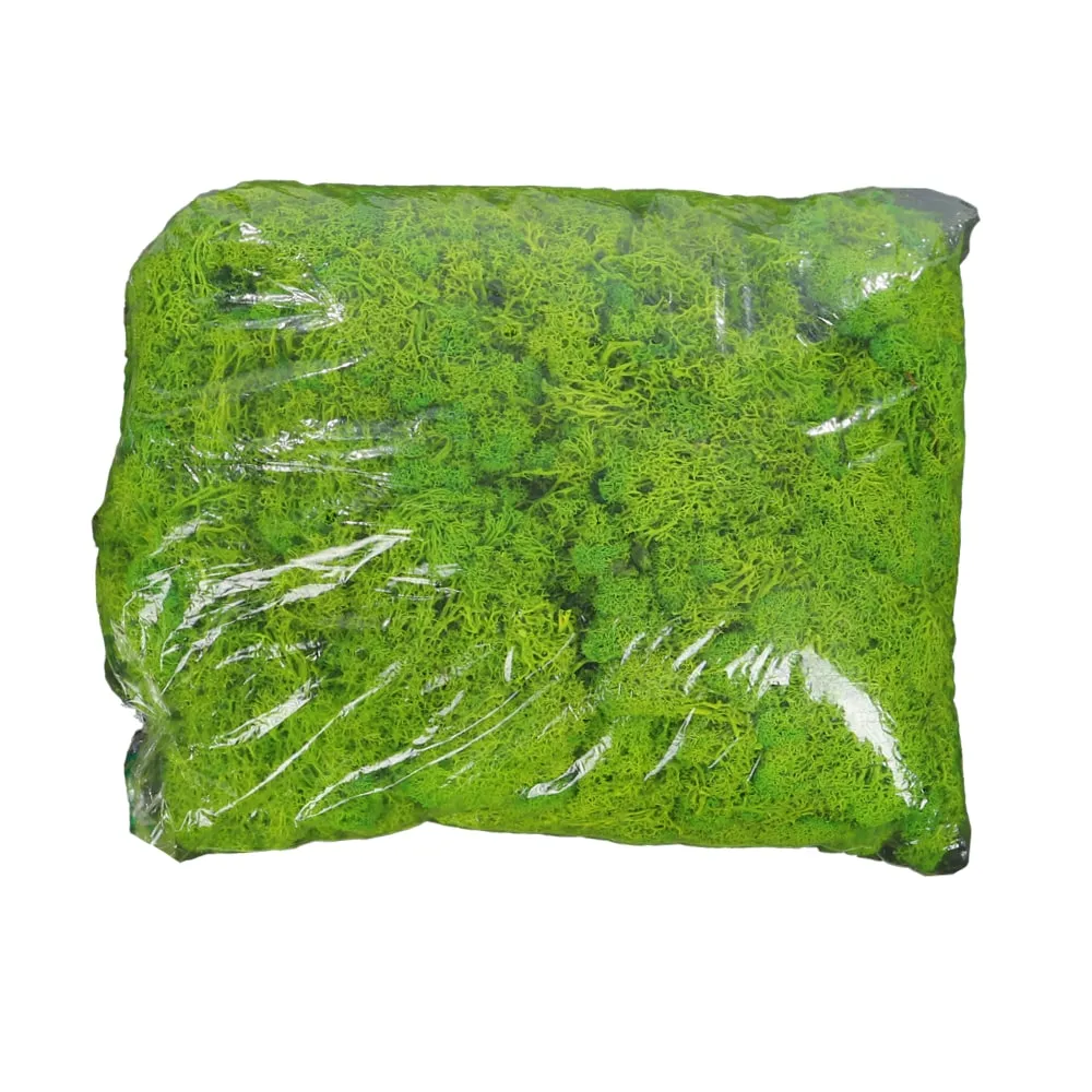 Natural Preserved Fresh Moss