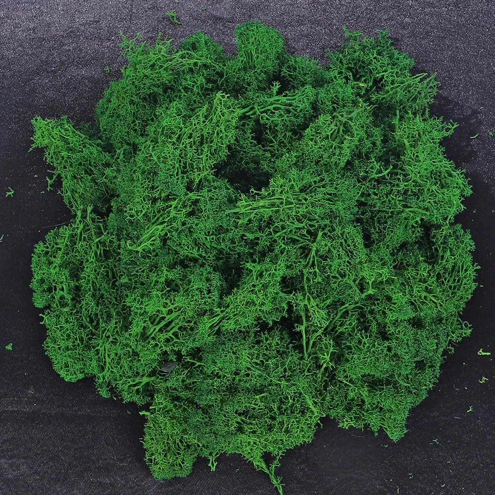 Natural Preserved Fresh Moss