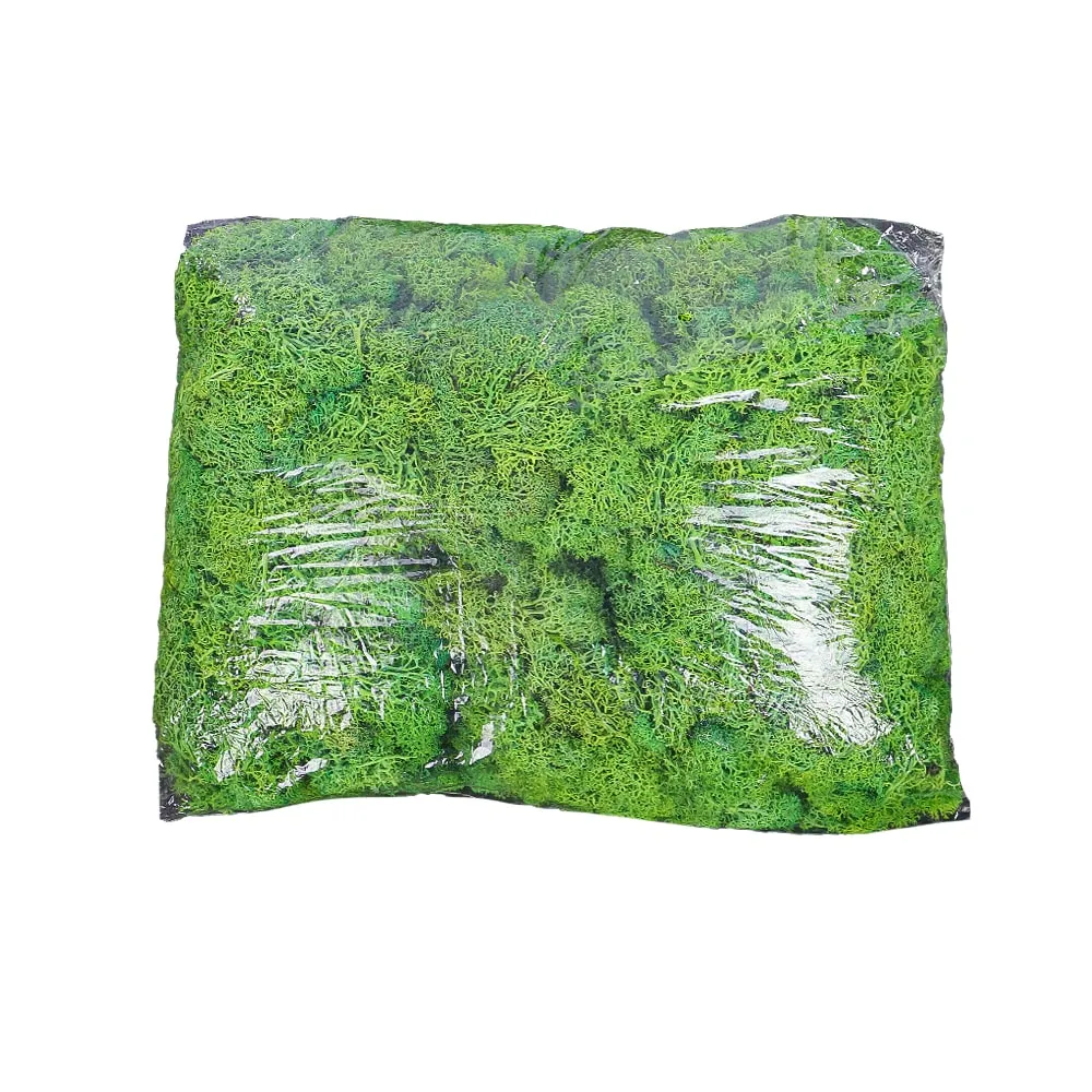 Natural Preserved Fresh Moss