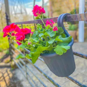 Single Balcony Hanging Planter