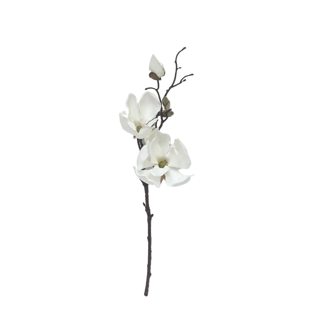 Spring Magnolia Cutting - White