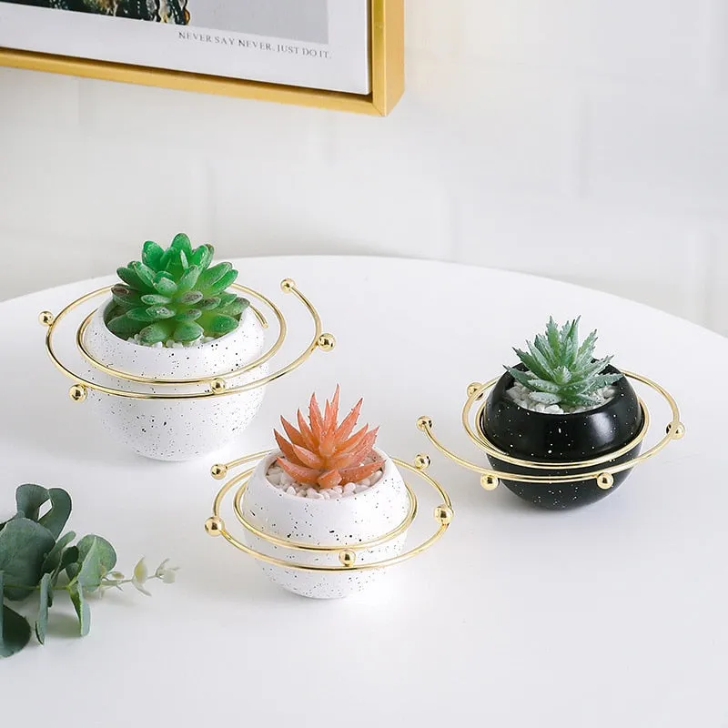 succulent plant pots