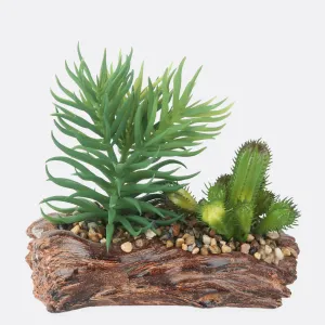 Succulent Plant With Stone Base