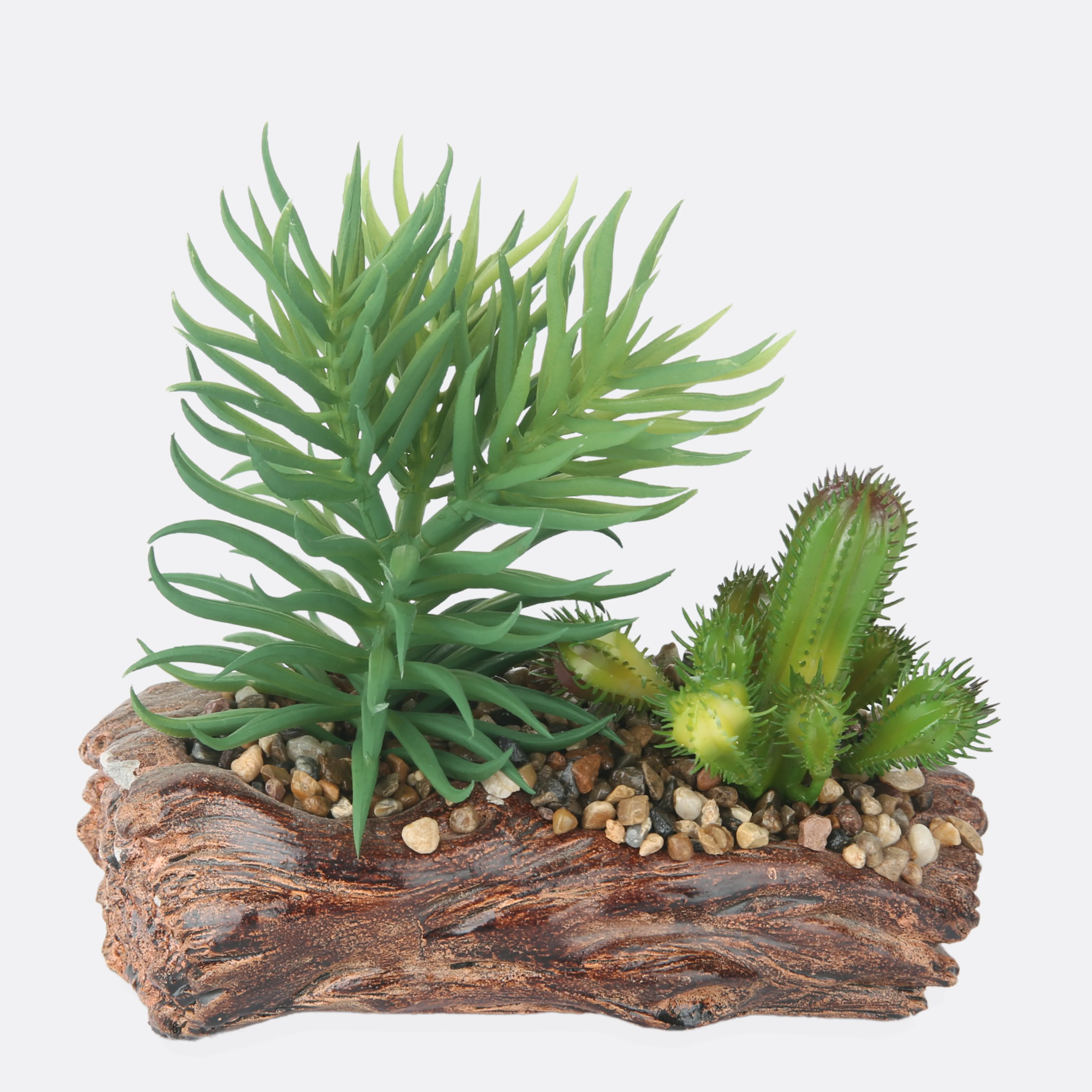 Succulent Plant With Stone Base