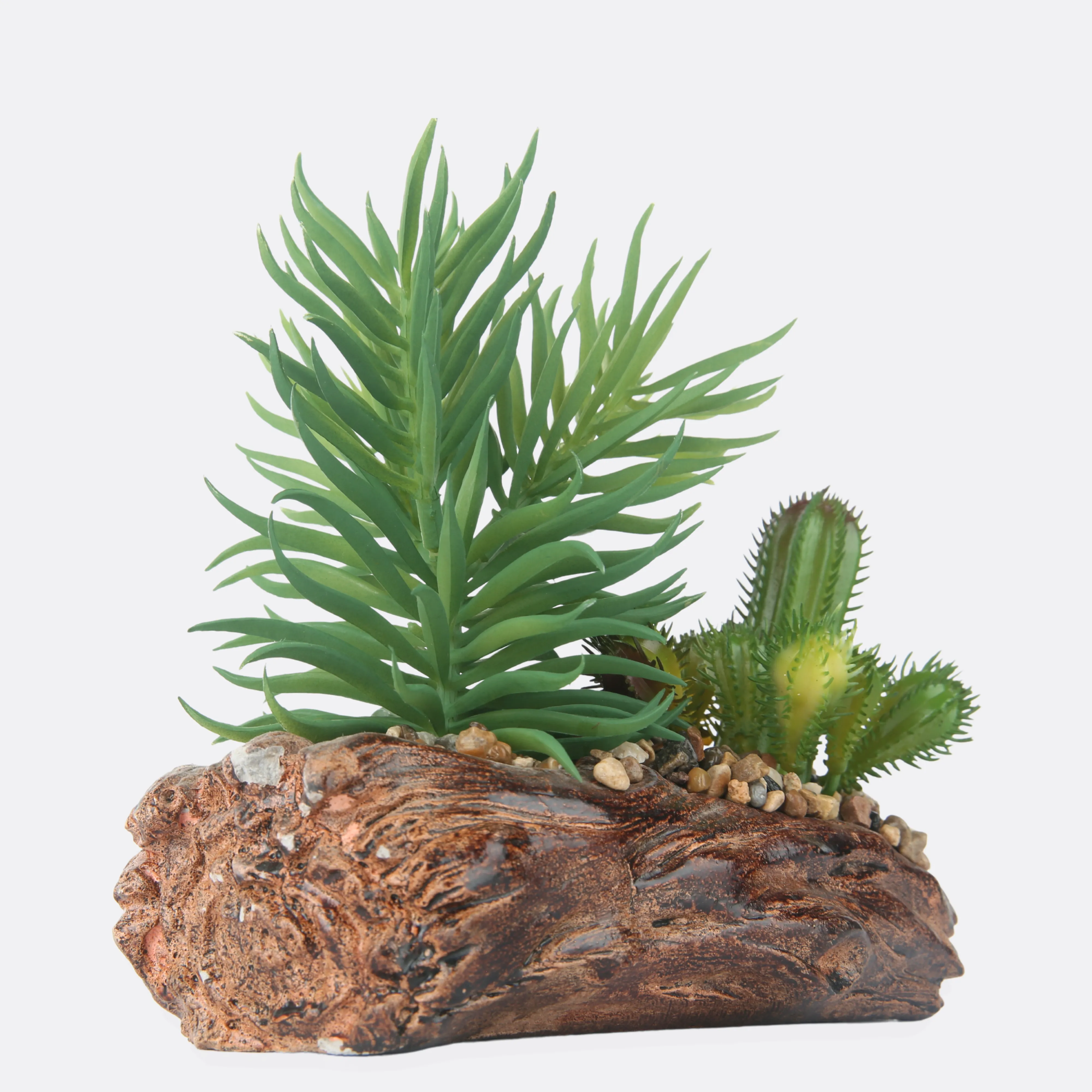 Succulent Plant With Stone Base