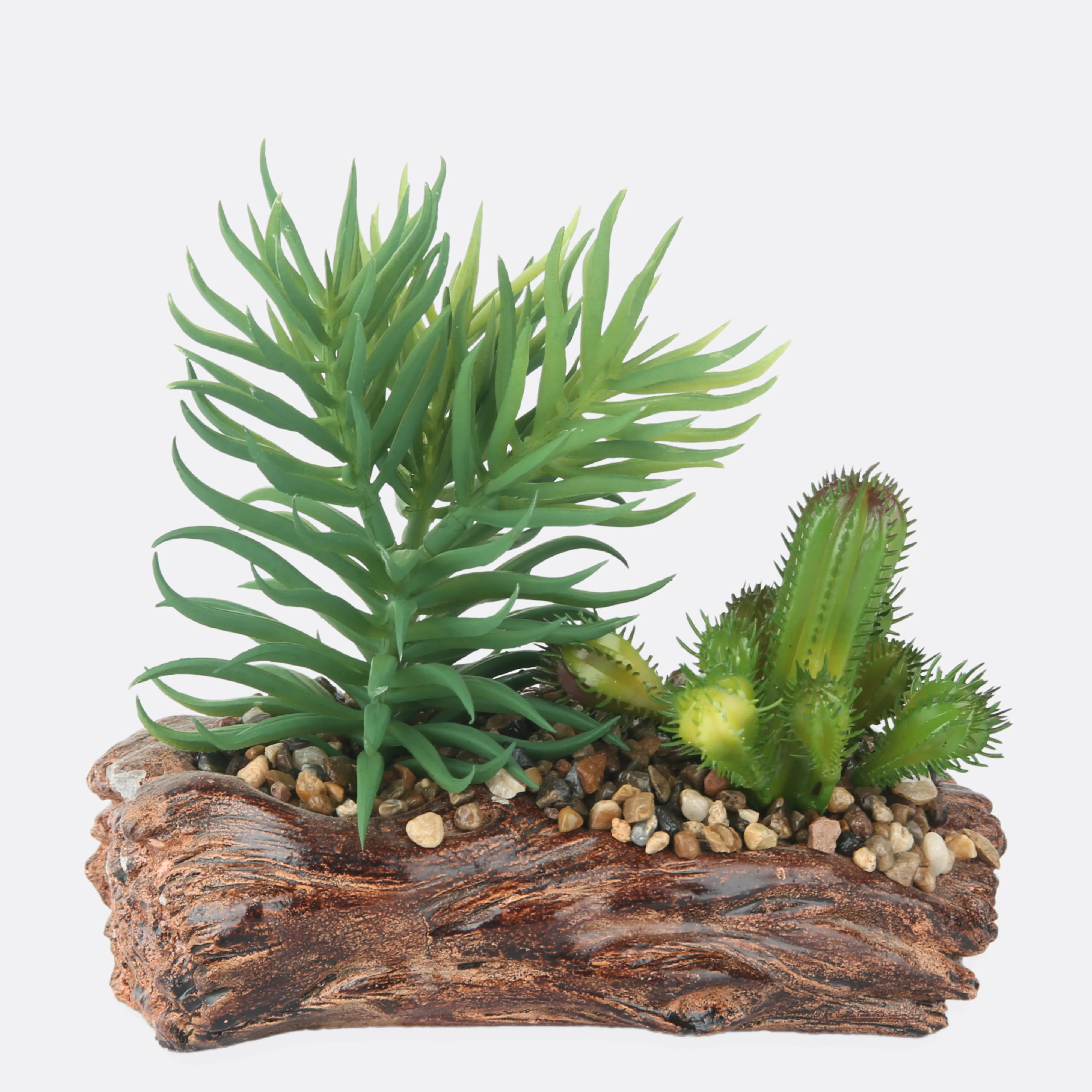 Succulent Plant With Stone Base