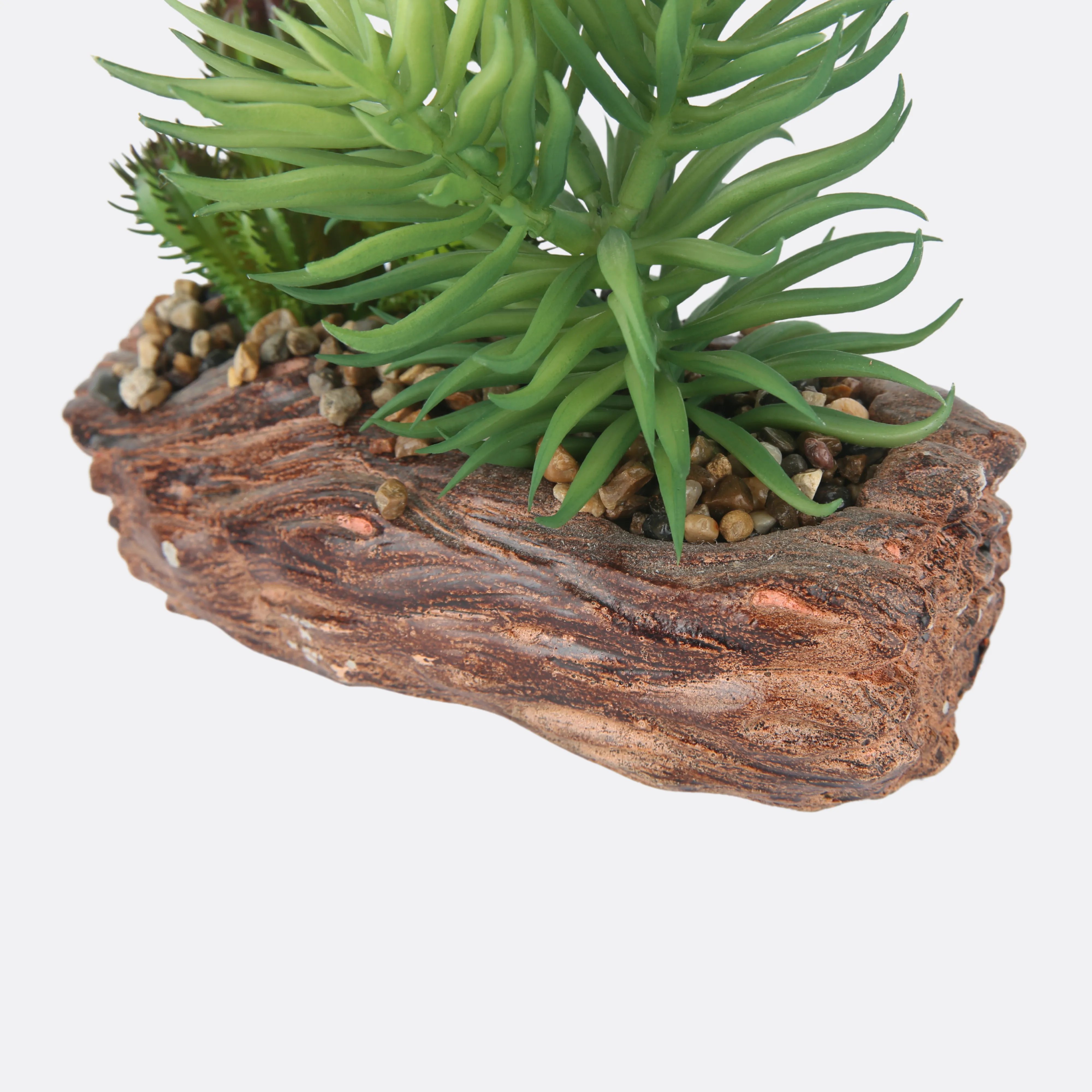 Succulent Plant With Stone Base