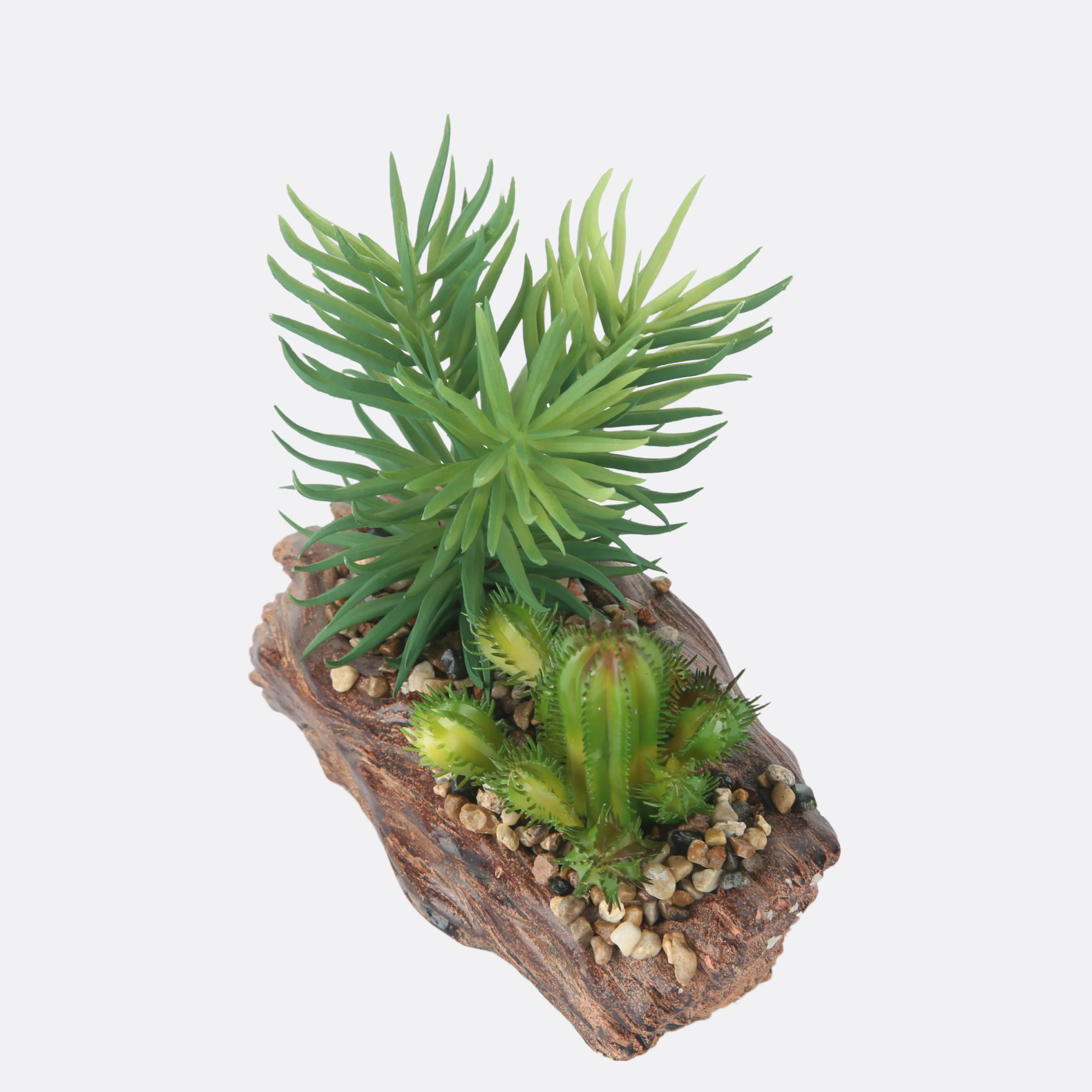 Succulent Plant With Stone Base