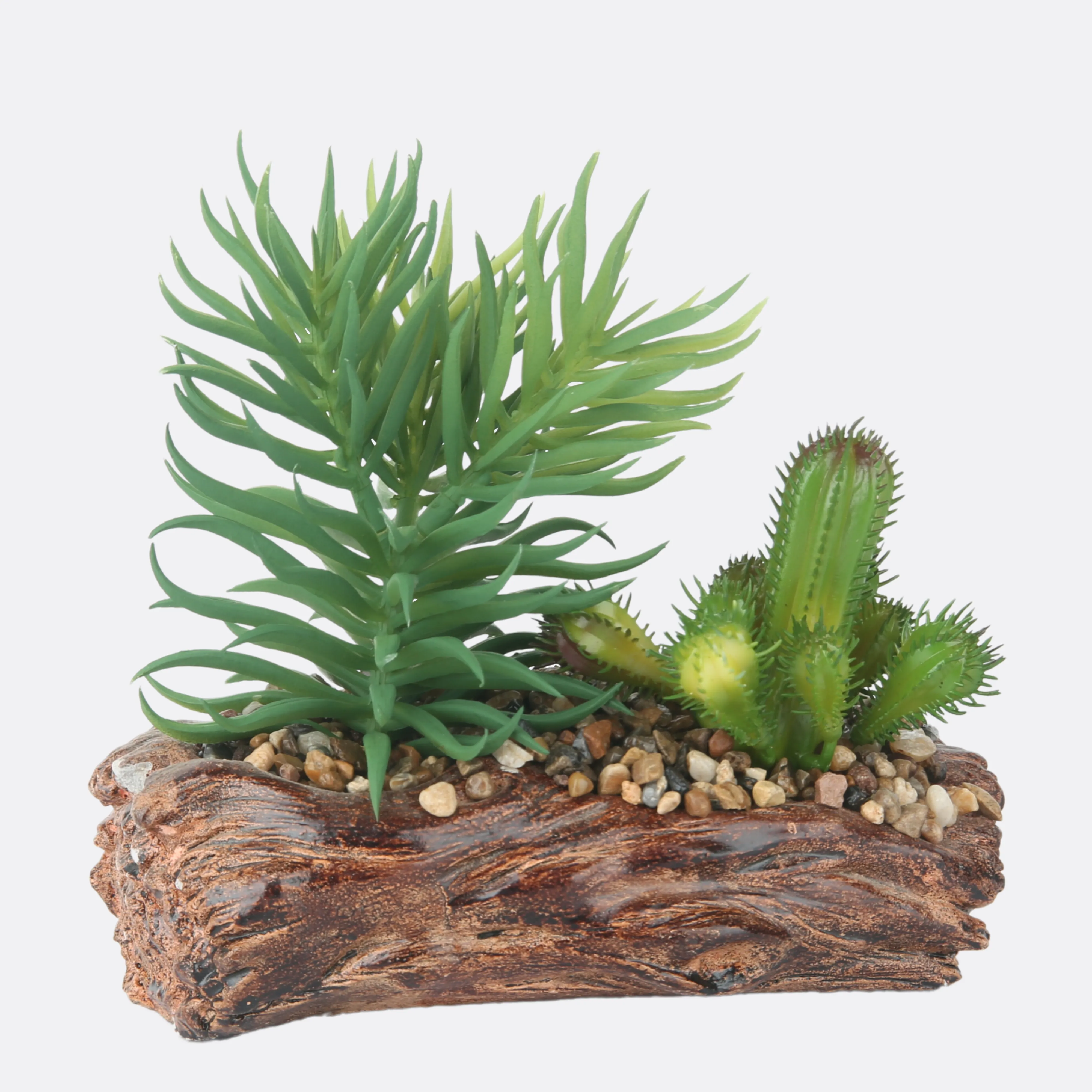 Succulent Plant With Stone Base